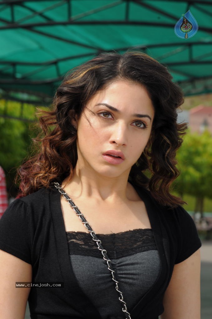 Tamanna New Gallery - 18 / 67 photos