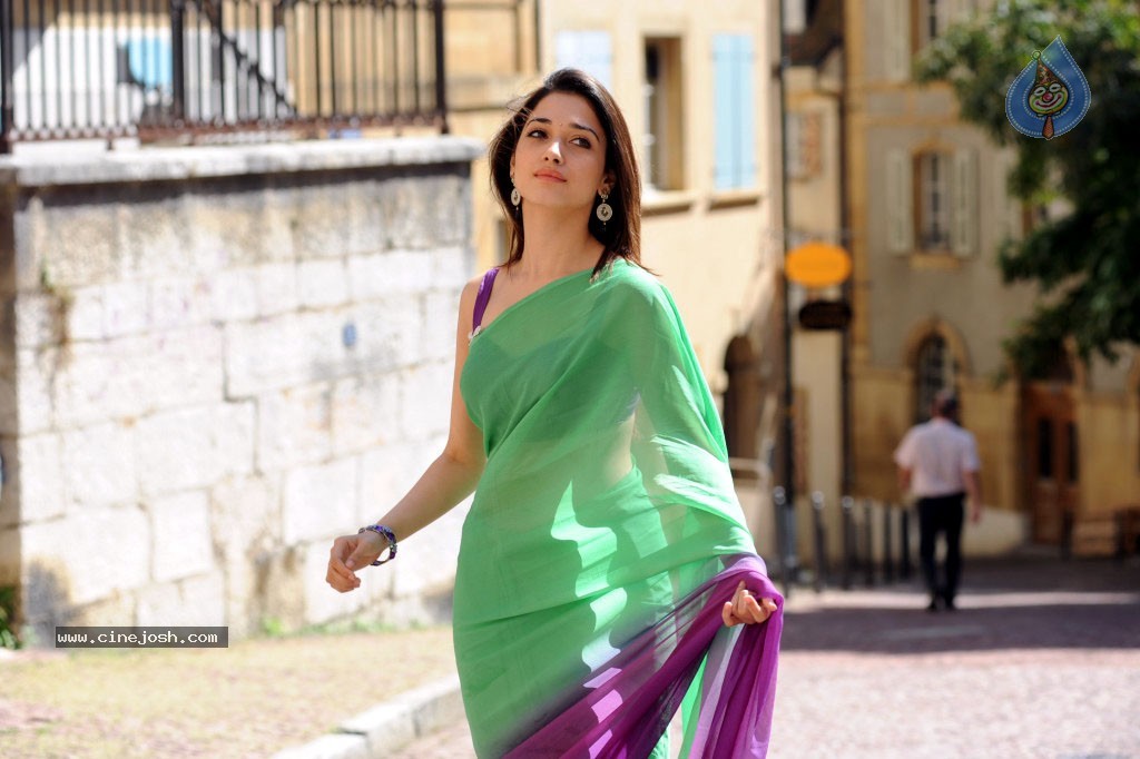 Tamanna New Photo Gallery - 13 / 69 photos