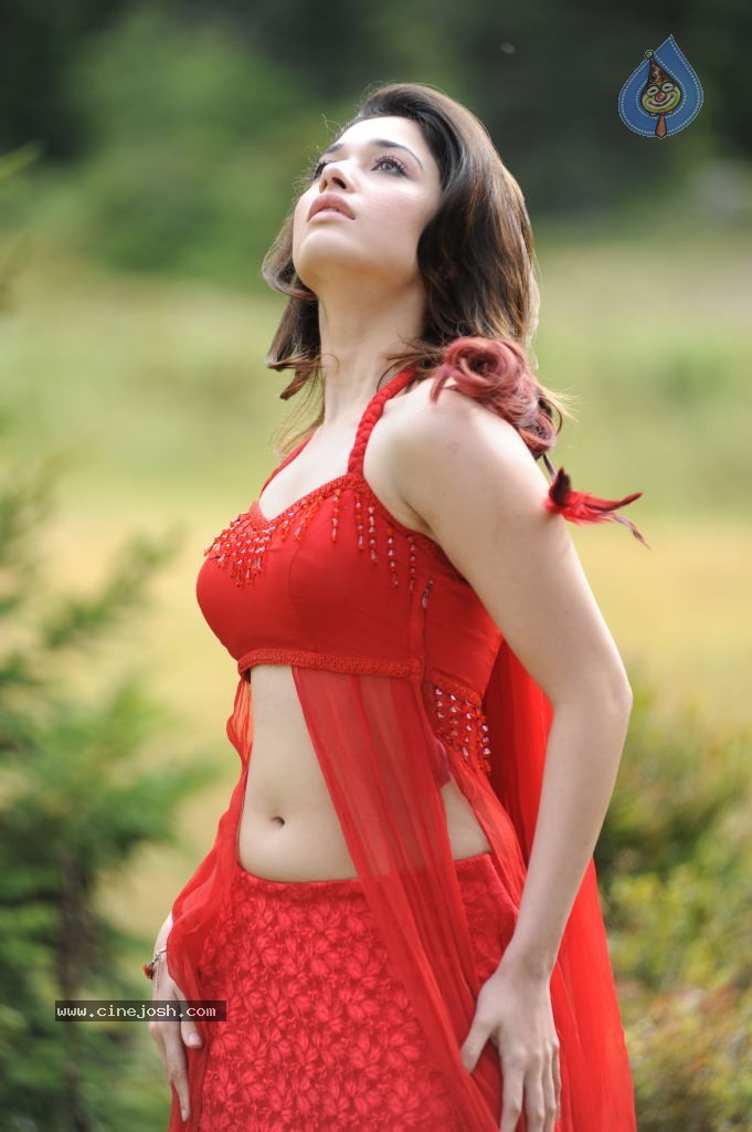 Tamanna Spicy Stills - 3 / 102 photos