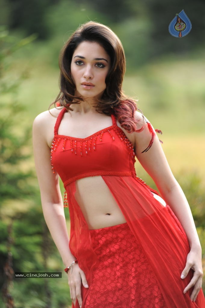 Tamanna Spicy Stills - 8 / 102 photos