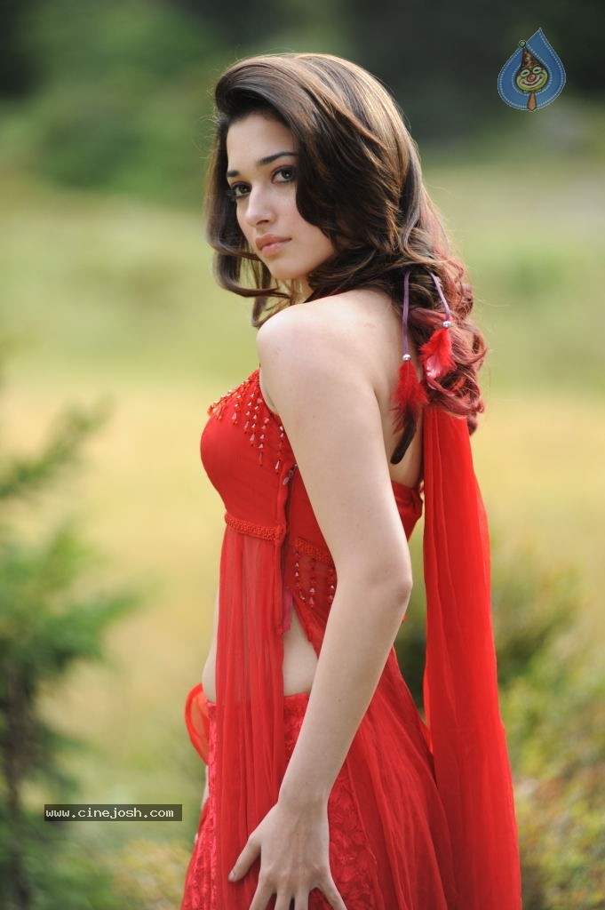 Tamanna Spicy Stills - 12 / 102 photos