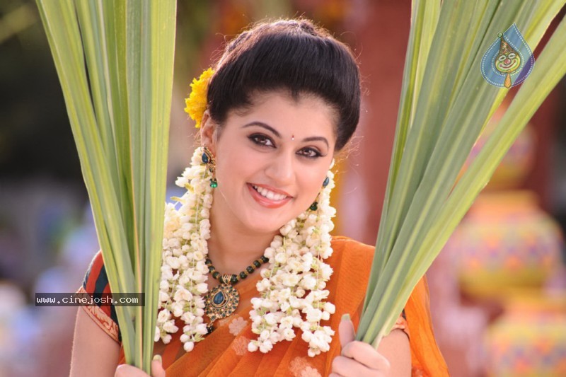 Tapsee Latest Stills - 19 / 40 photos