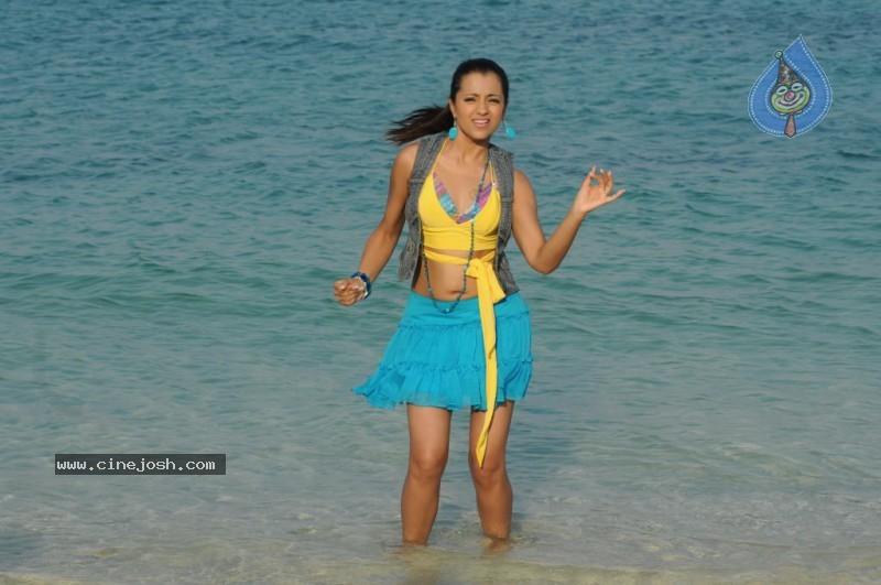 Trisha New Gallery - 11 / 175 photos