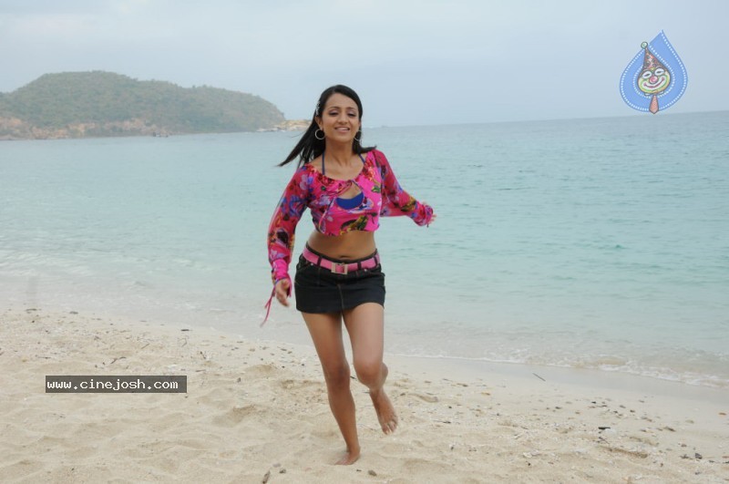 Trisha New Gallery - 15 / 175 photos