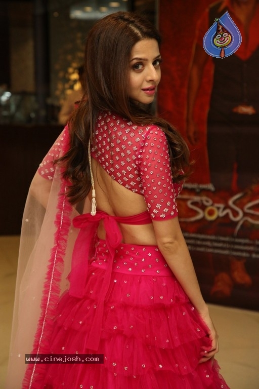 Vedhika New Images - 3 / 21 photos