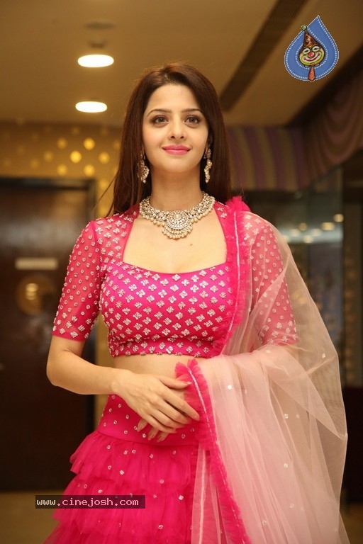 Vedhika New Images - 14 / 21 photos