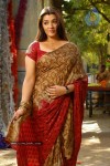 Aarthi Agarwal New Stills - 33 of 65