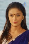 Aarti Chhabria Photos - 24 of 24
