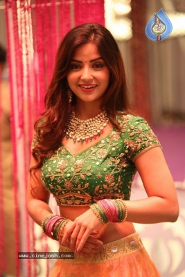 Actress Kashmira Photos - 17 of 18