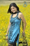 Actress Stills in Nagavalli Movie - 15 of 53