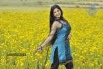 Actress Stills in Nagavalli Movie - 52 of 53