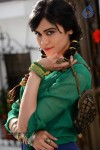 Adah Sharma Gallery - 47 of 50