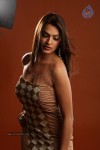Aditi Agarwal Hot Photo Shoot - 47 of 78