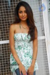 aditi-gallery