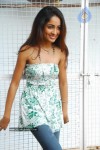 aditi-gallery