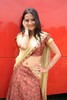 Aditi Sharma - 20 of 91