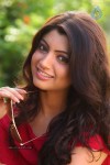 Akanksha Puri New Stills - 26 of 52