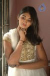 Akshaya Stills - 27 of 37