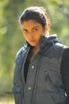 amala-paul-latest-photo
