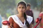 amala-paul-new-gallery