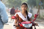 amala-paul-new-gallery