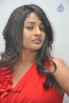 Amitha Rao Stills - 42 of 55