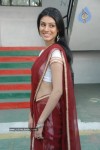 anchal-stills