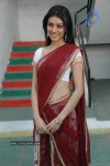 anchal-stills