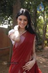 anchal-stills