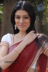 anchal-stills