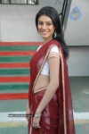 anchal-stills