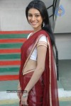 anchal-stills