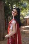 anchal-stills