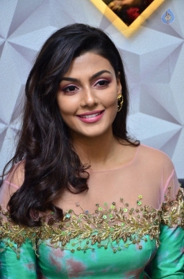 Anisha Ambrose New Stills - 5 of 21