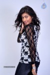 Anisha Singh Latest Stills - 35 of 81