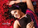 Anjali Hot Stills - 17 of 25