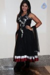 Anjali New Photos - 51 of 57