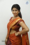 Anjali Photos - 7 of 35