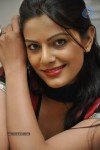 Anjali Stills  - 10 of 39