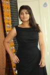 anusha-latest-gallery