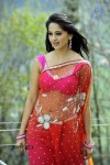 Anushka New Photos - 41 of 58