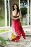Anushka Stills In Khaleja Movie - 9 of 14