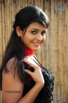 ashwi-new-gallery