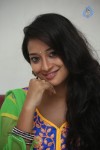 Bhanu Sri Stills - 22 of 100