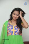 Bhanu Sri Stills - 24 of 100