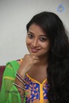 Bhanu Sri Stills - 33 of 100