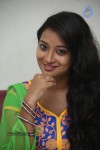 Bhanu Sri Stills - 37 of 100