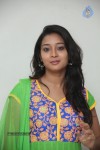 Bhanu Sri Stills - 38 of 100