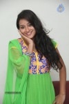 Bhanu Sri Stills - 40 of 100