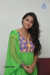 Bhanu Sri Stills - 87 of 100